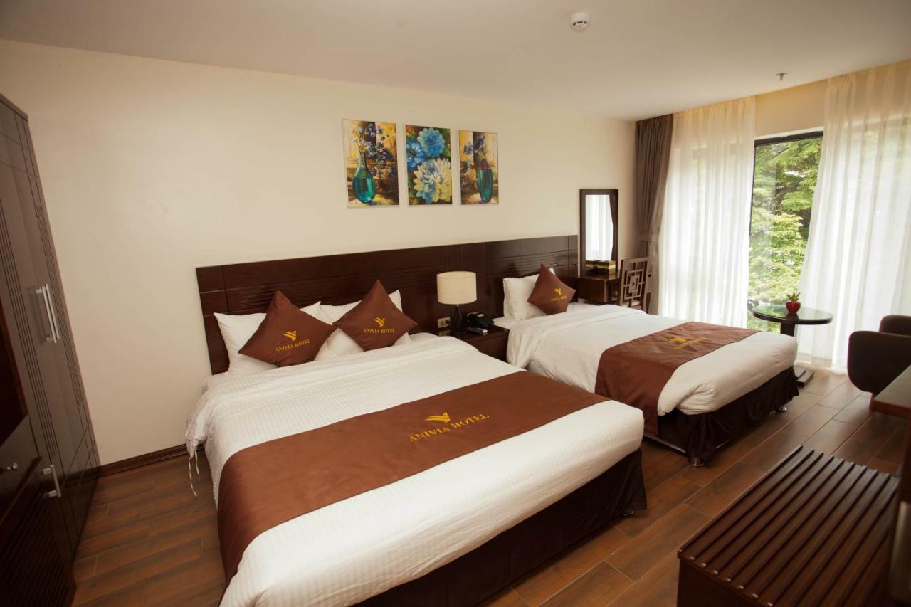 Anivia Tam Dao Hotel Son Dinh Eksteriør billede